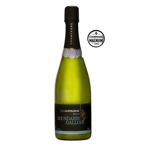 [CH010] Magnum Champagne Brut de tradition